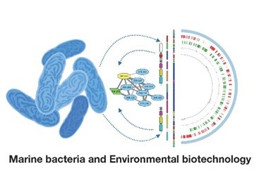 Marine Bacteria and Environmental Biotechnology Lab